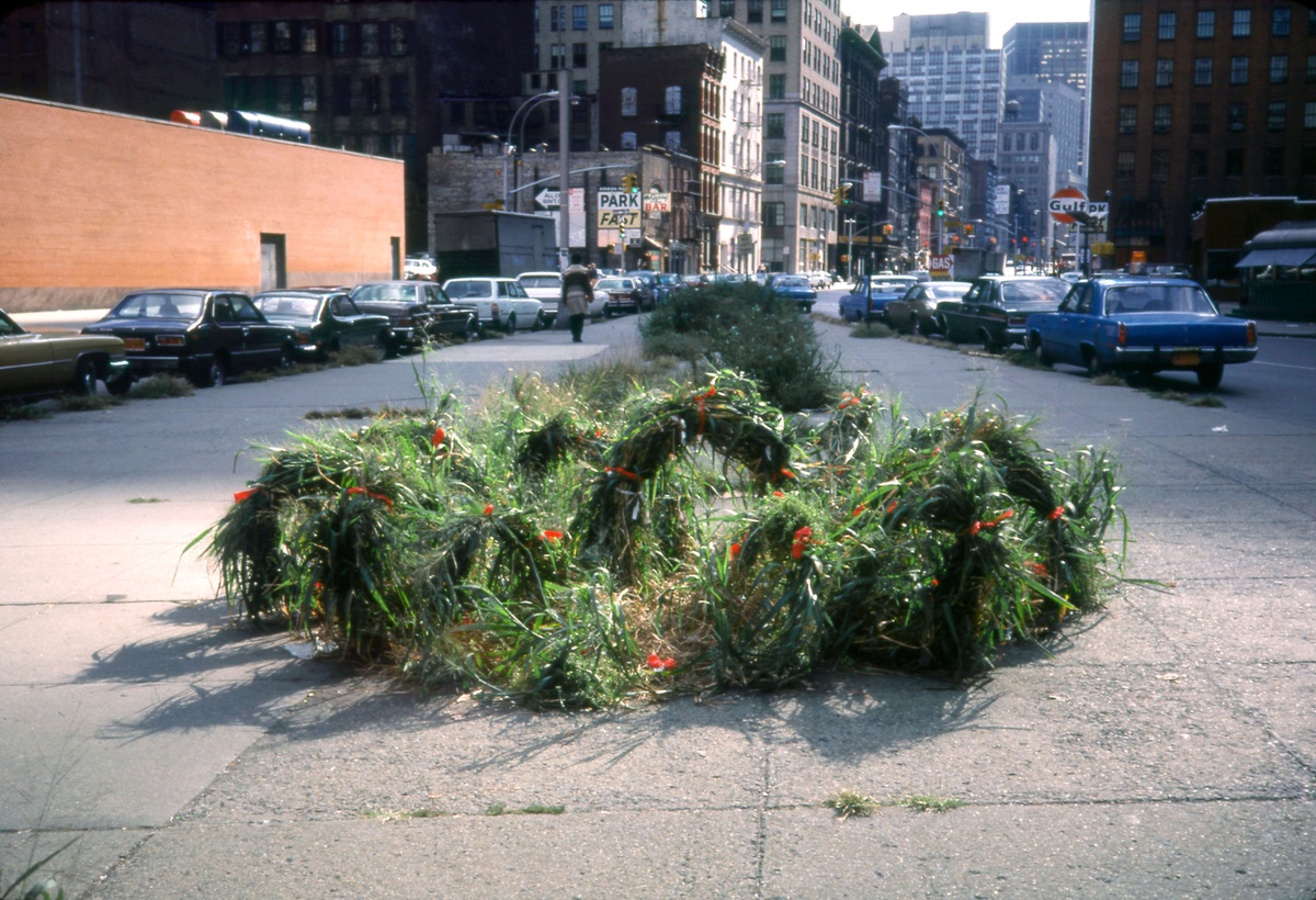 Serpent like tufts of grass tied with orange emerge from a sidewalk just before an intersection of vintage cars.