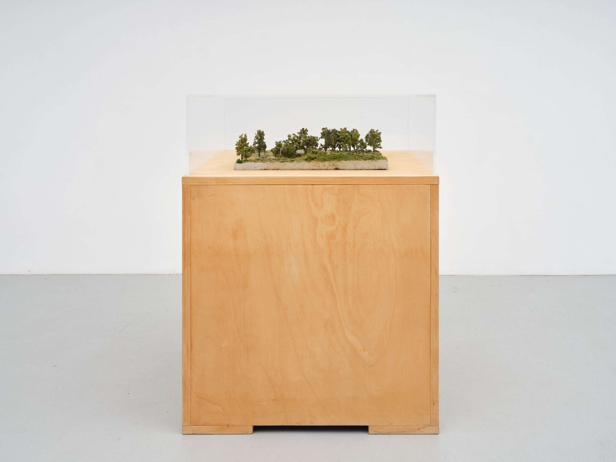 A small diorama of a forest sits inside of a glass box on top of a wooden pedastal.