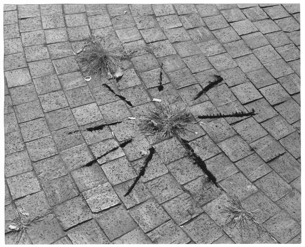 Black charcoal lines emenate like rays of sun from a patch of grass growing out of square brick cracks. The photograph is black & white.